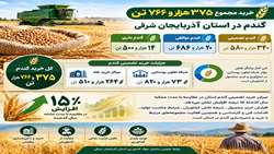 رشد ۱۵ درصدی خرید تضمینی گندم در آذربایجان‌شرقی